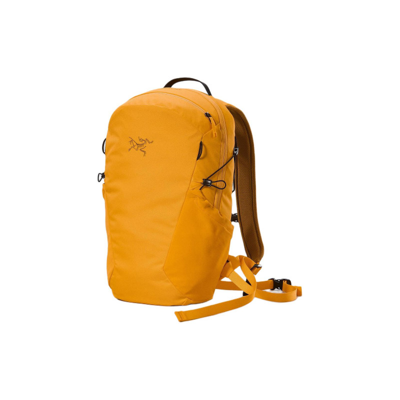 Arcteryx 16L Logo