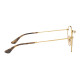 RayBan