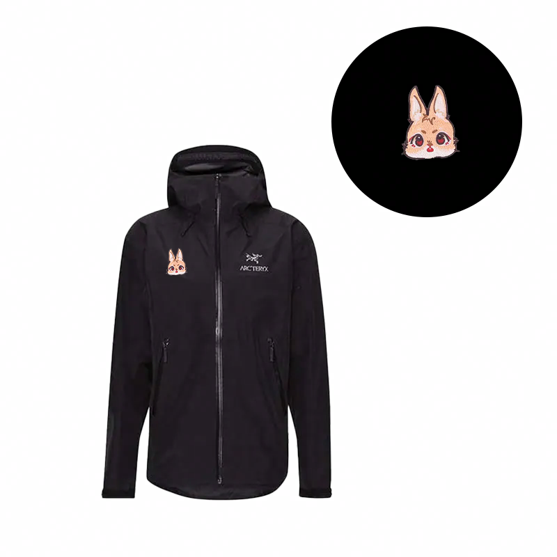 Arcteryx logo