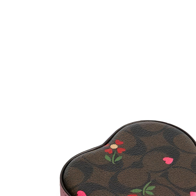 COACH Heart Box 11