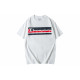 Champion T