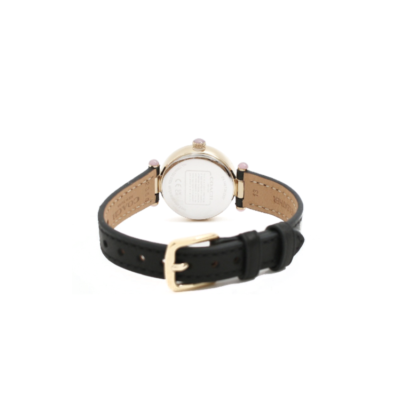 COACHCARY 14504014