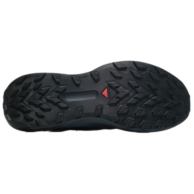 SALOMON Genesis