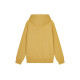 Champion FW23 Rochester Logo