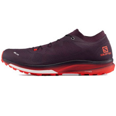 SALOMON