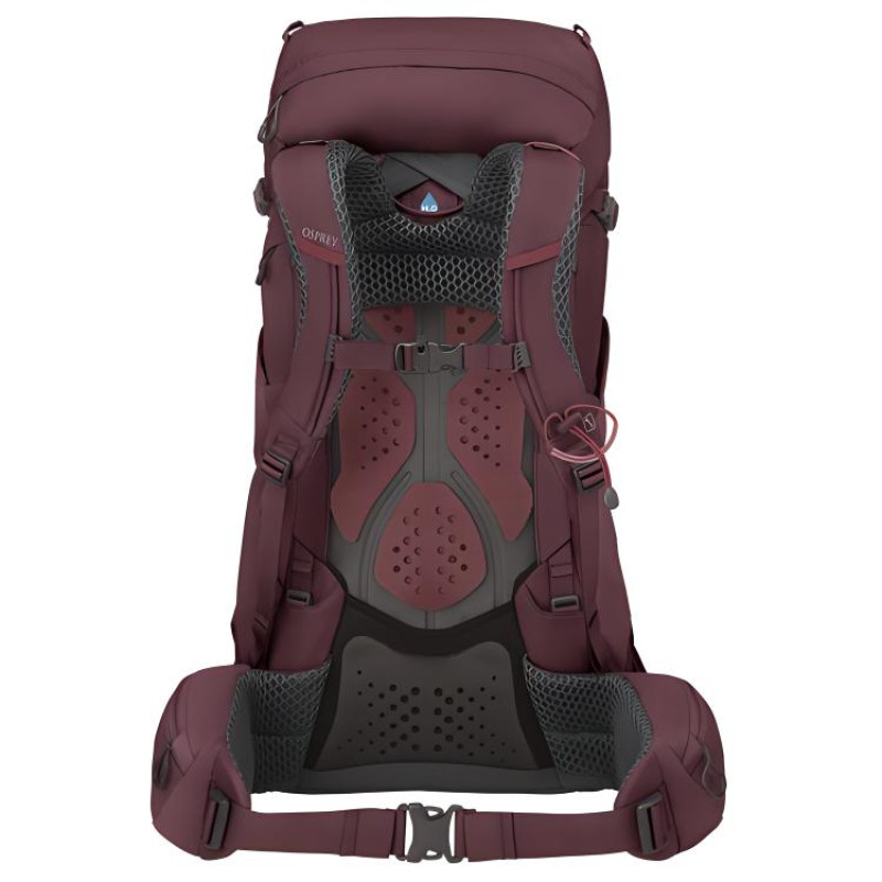 OSPREY KYTE 38L