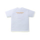BAPE x ASSC Abc Camo Box T
