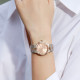 ROSSINI 50106