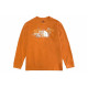 THE NORTH FACE Logo T