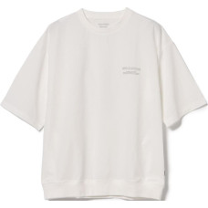 beams T