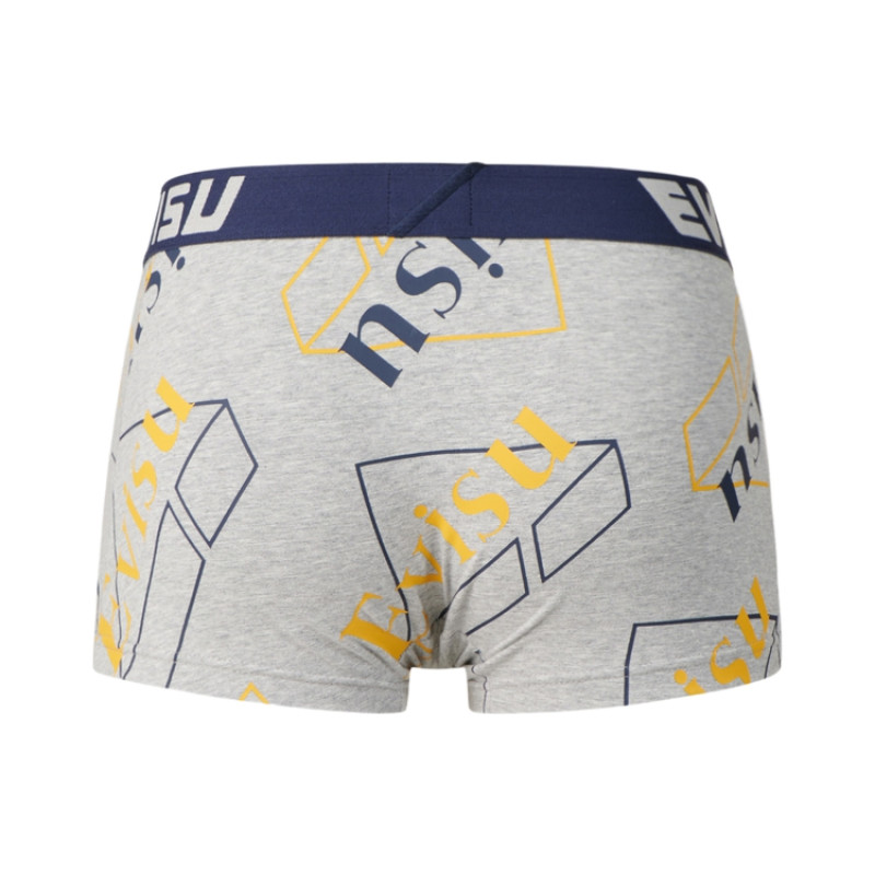 EVISU 2