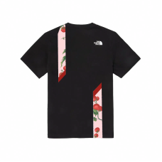 THE NORTH FACE T