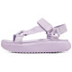 Skechers Bobs