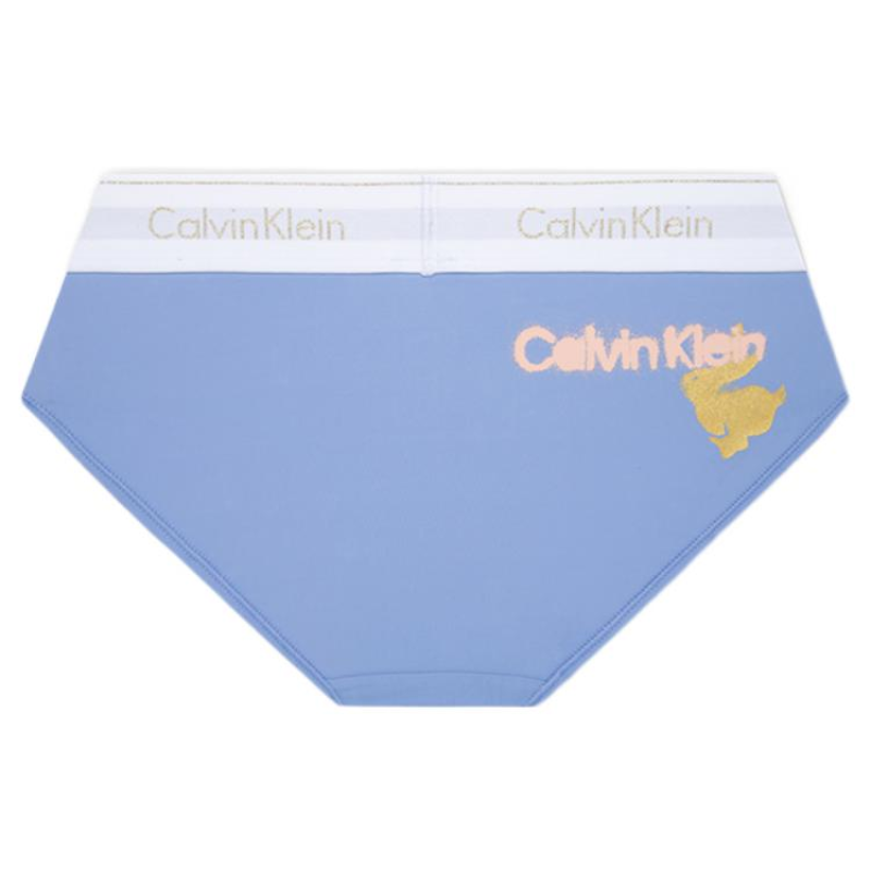 Calvin Klein Logo 1