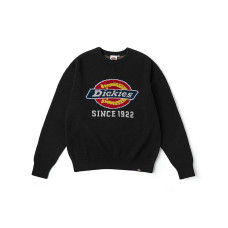 Dickies logo DK0A87F1