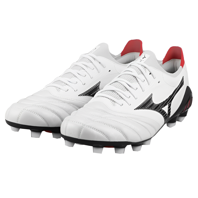 Mizuno