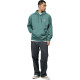 Dickies Logo