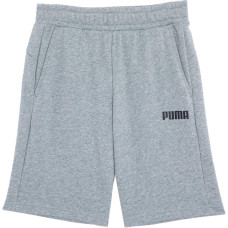 PUMA ESS