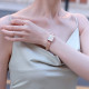 Daniel Wellington DW00100579