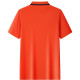 PIERRE CARDIN Polo