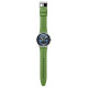 SWATCHSwatch Essentials 30 43mm