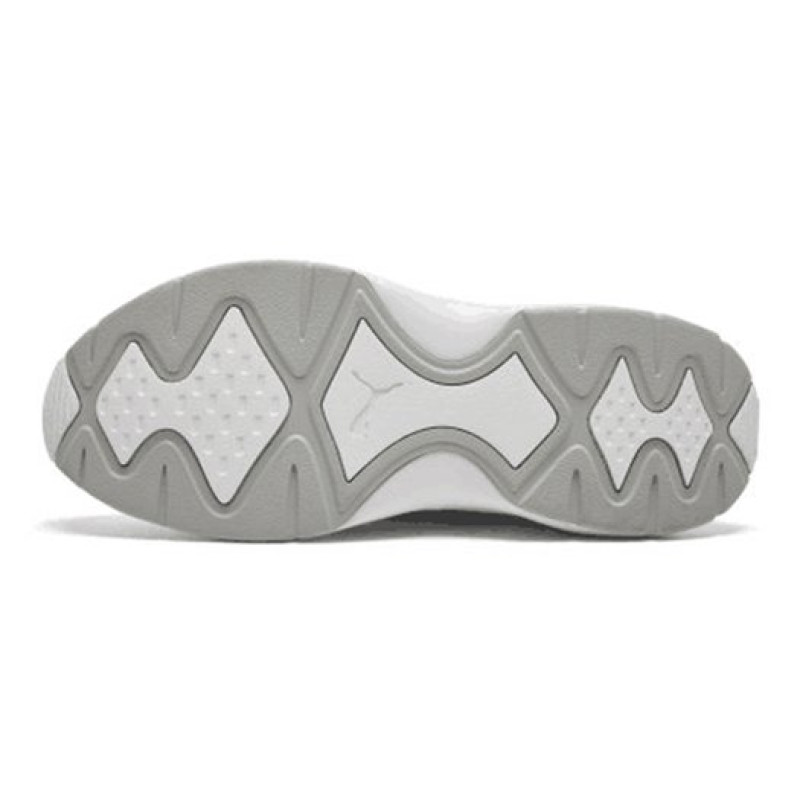 Puma Nucleus
