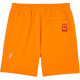 PUMA x CARROTS SS24 logo