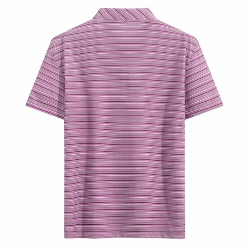 PIERRE CARDIN Polo