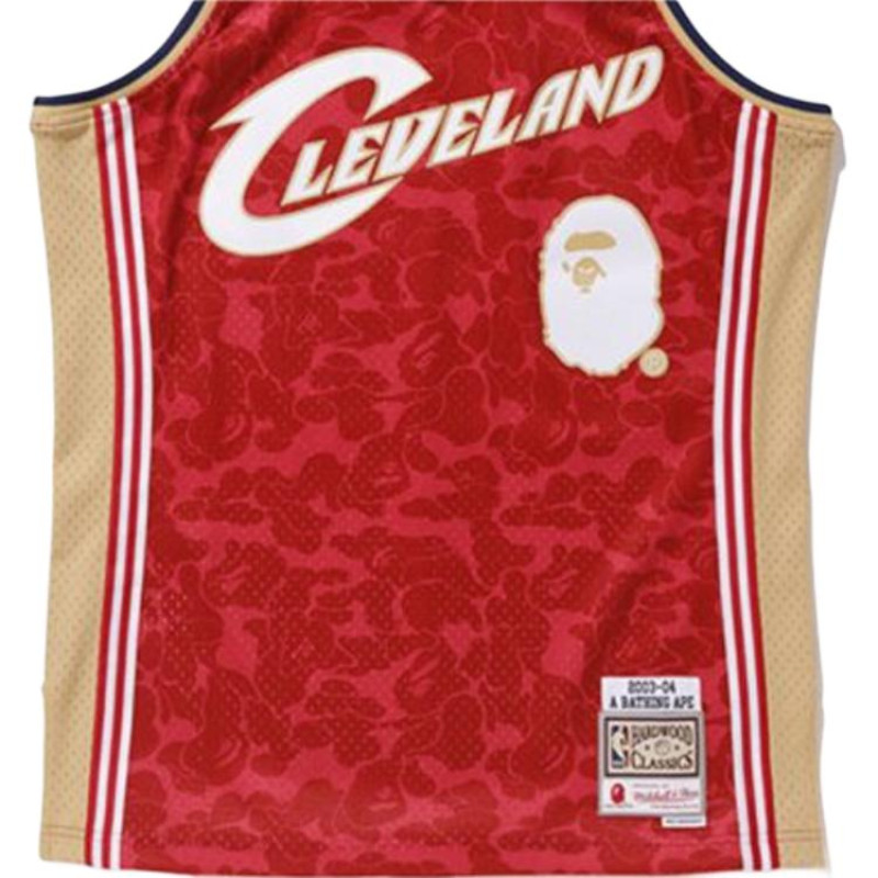 A BATHING APE x Mitchell Ness