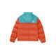 THE NORTH FACE 1996 Retro Nuptse 700