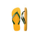 Havaianas Brazil Logo