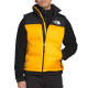 THE NORTH FACE ICON