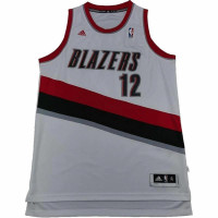 adidas x NBA SWINGMAN 12