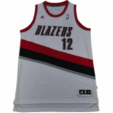 adidas x NBA SWINGMAN 12