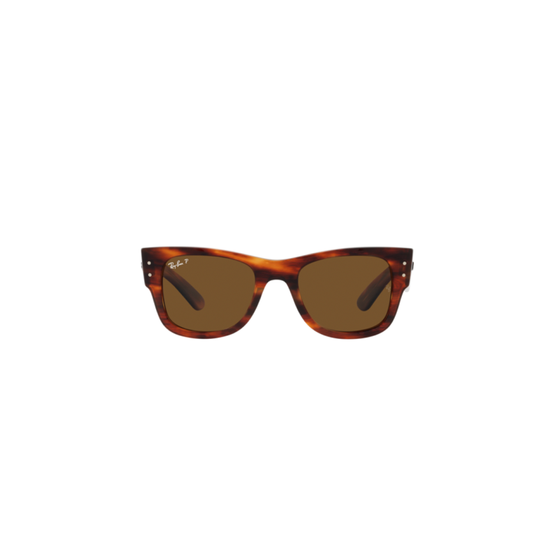 RayBan