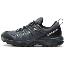 SALOMON X Braze GTX