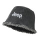 Jeep ins