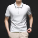 PIERRE CARDIN Polo