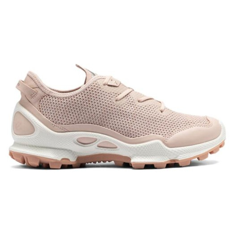 ecco C