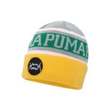 Puma logo