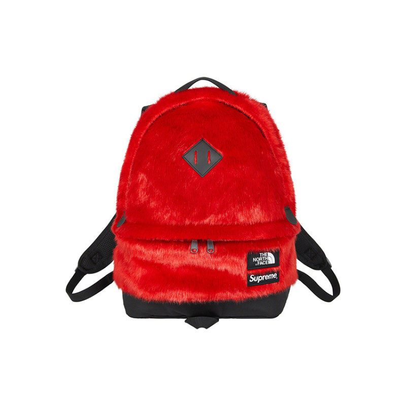Supreme x The North Face FW20 Week16 Logo