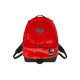 Supreme x The North Face FW20 Week16 Logo