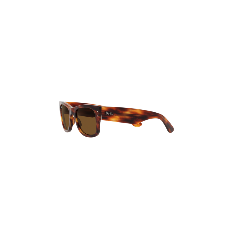 RayBan