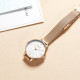 Disney SM-17008