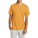 Champion T 2