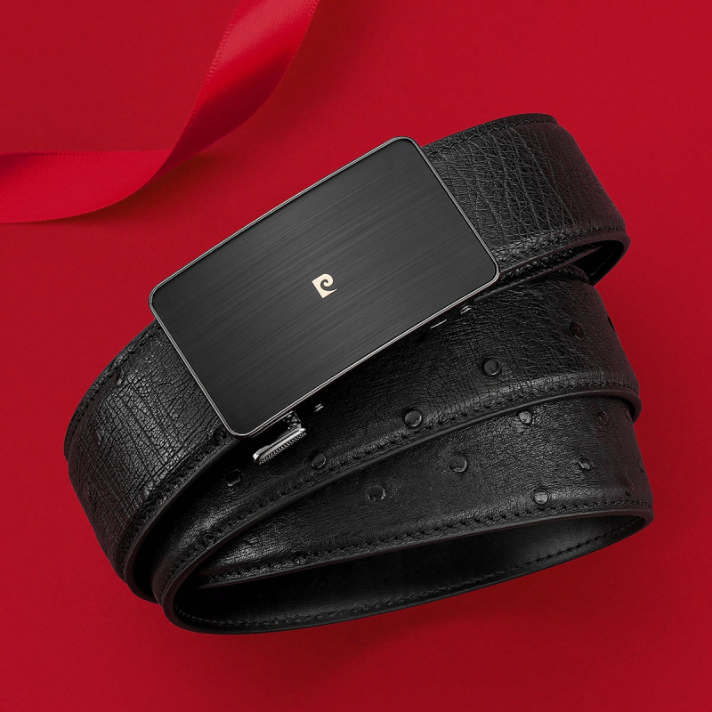 PIERRE CARDIN logo 3.45CM
