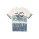 Vans T