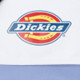 Dickies Logo