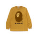 A BATHING APE FW24 T