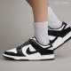 Nike Dunk Retro 